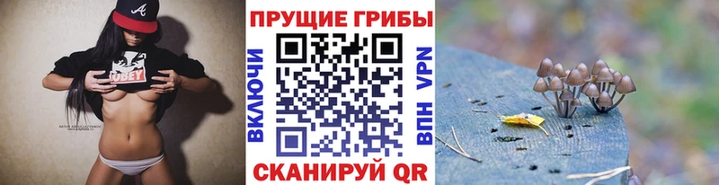 hydra сайт  Кодинск  Псилоцибиновые грибы мухоморы 